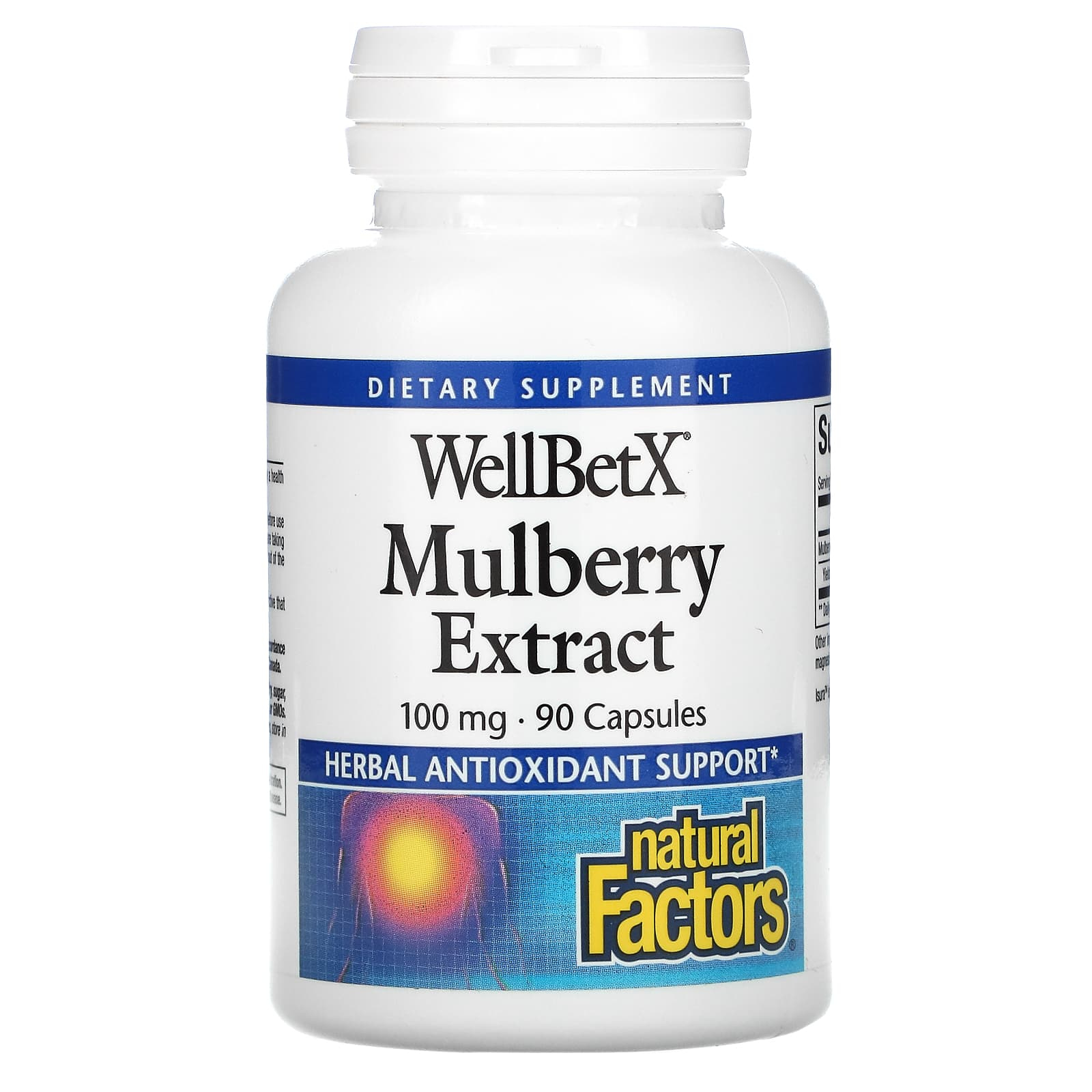 내추럴팩터스 <b>WellBetX 멀베리</b> Mulberry <b>100mg</b> 90캡슐