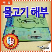 실험뚝딱/물고기해부(5인 세트)