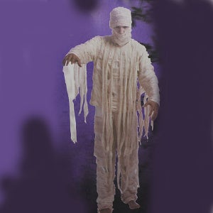 성인 미이라 의상 담력훈련 복장 귀신의집 호러 코스프레