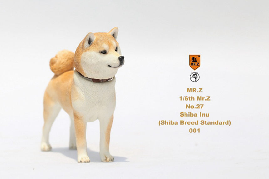 Shiba Inu (시바견)