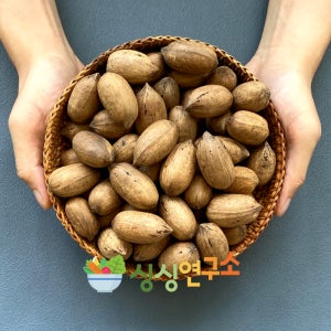 전남영광 국내산 피칸 생피칸 통피칸 500g