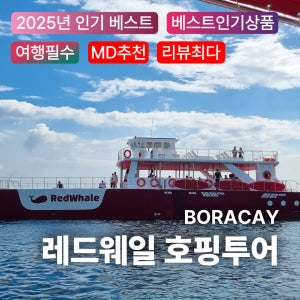 보라카이 호핑투어 레드웨일 럭셔리 요트 데이클럽