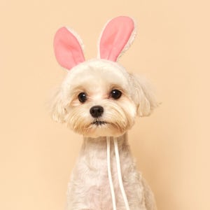 플로트 주주 동물농장 토끼 강아지 모자 애견 코스튬 악세사리 겨울 털모자