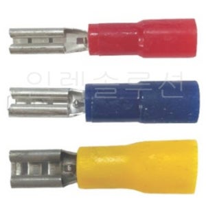 365285 청색 110R 암컷(FEMALE) PG 신주단자 전오전기 1000개