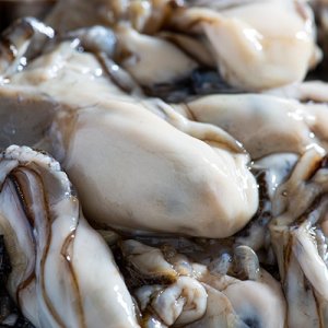 산지직송 생굴 깐굴 500g 1kg 석화 굴