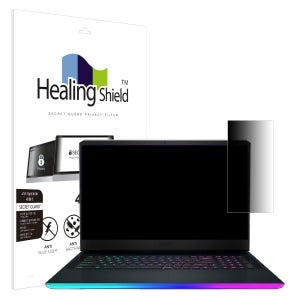 MSI 레이더 GE76 12U SNS 메신저 사이드 프라이버시 보안필름