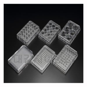 셀컬쳐 플레이트 SPL 96well Cell Culture Plate 31096