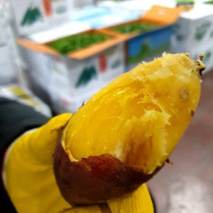 꿀고구마 밤고구마 호박고구마 세척 베니하루카 3kg 5kg 10kg