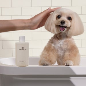 보다더펫샴푸 프리미엄 강아지 고양이 펫샴푸 300ml, 1개