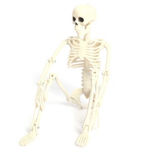 광고 메인 이미지