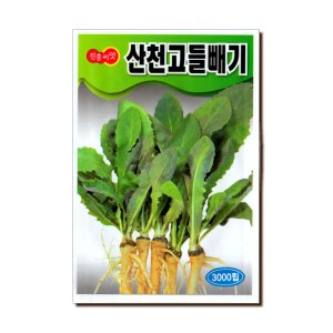진흥 산천고들빼기 씨앗 3000립 (씀바귀)