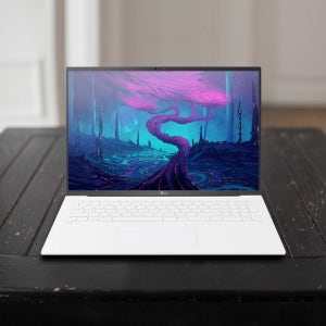 LG전자 2023 그램17 17ZD90R-EX76K (WIN11 HOME / NVMe 512GB / RAM 16GB) HMC