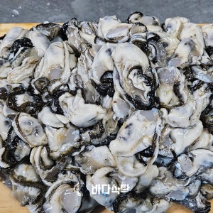 통영생굴 생산자직판 햇굴 제철 1kg 세척