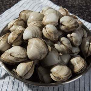 태안 안면도 동죽 물총조개 1KG 2KG 3KG 5KG 10KG 업소용 해감완료 국내산