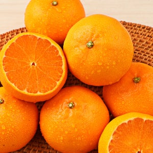 제주 노지 하우스 만감류 황금향 2kg 가정용