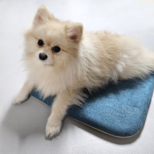 USB 온열 방석 강아지 고양이 전기 장판 애견 반려견 휴대용 매트