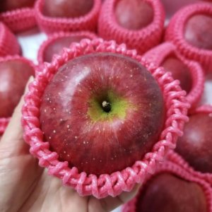 경북 부사 사과 가정용 선물세트 선물용 꿀사과