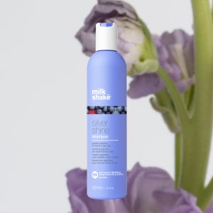 [보색샴푸] 밀크쉐이크 실버 샤인 탈색모 보색 샴푸 블루베리, 300ml, 1개