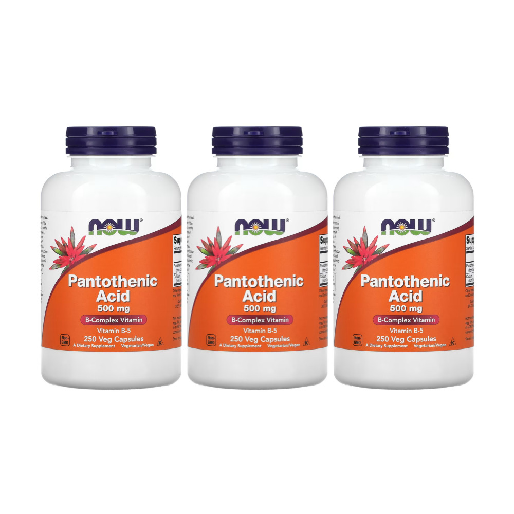 나우푸드 <b>판토텐산</b> 500mg 식물성 캡슐 250정 x 3병