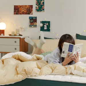 파르페by알레르망 에티드 60수 고밀도면 밍크극세사 차렵이불