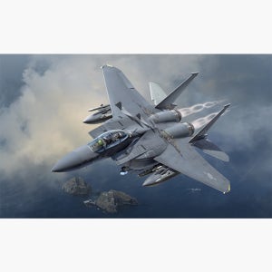 12362 1/48 대한민국 공군 F-15K 신념불사조 (ADEX Ver.)