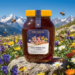 다정이네 천연벌꿀 생꿀 2.4kg 베트남 고산지대 토종꿀 야생화꿀
