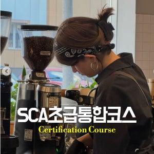 SCA 국제커피초보반(바센브)