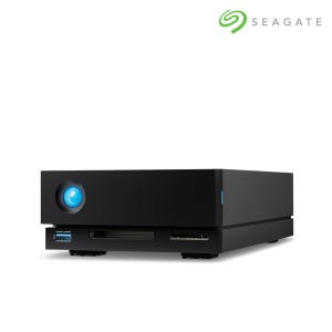 라씨 LaCie 1big Dock Thunderbolt 3 20TB STHS20000800