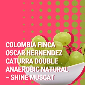 (커피생두) 110 콜롬비아 핀카 오스카 헤르난데즈 더블무산소 내추럴-샤인머스캣 500g