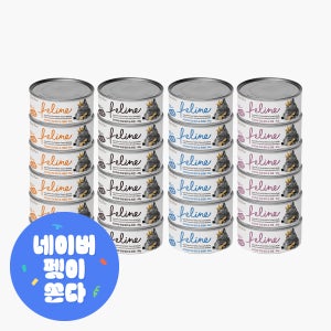 데이스포 필라인 캣 프리미엄 흰살 참치 믹스 고양이캔 80g x 72개