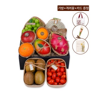 프리미엄 과일선물세트 병문안 3호 10종 (멜론, 샤인머스켓 외) 4.8kg 이상 올프레쉬
