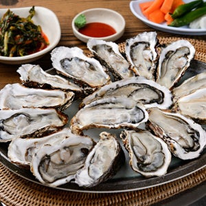 늘솔푸드 여수 각굴 제철 석화 생굴 5kg 10kg