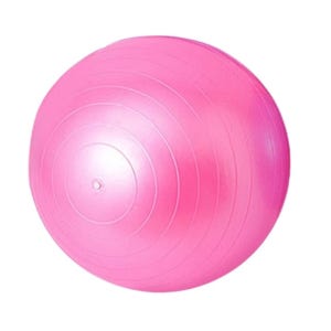 잡잡 PVC 안티버스트 짐볼55cm 요가 필라테스 운동