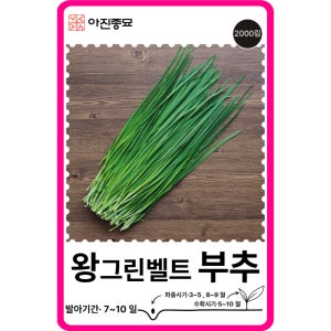 부추 씨앗 2000립 / 왕그린벨트 부추 종자 쌈 채소씨앗 키우기