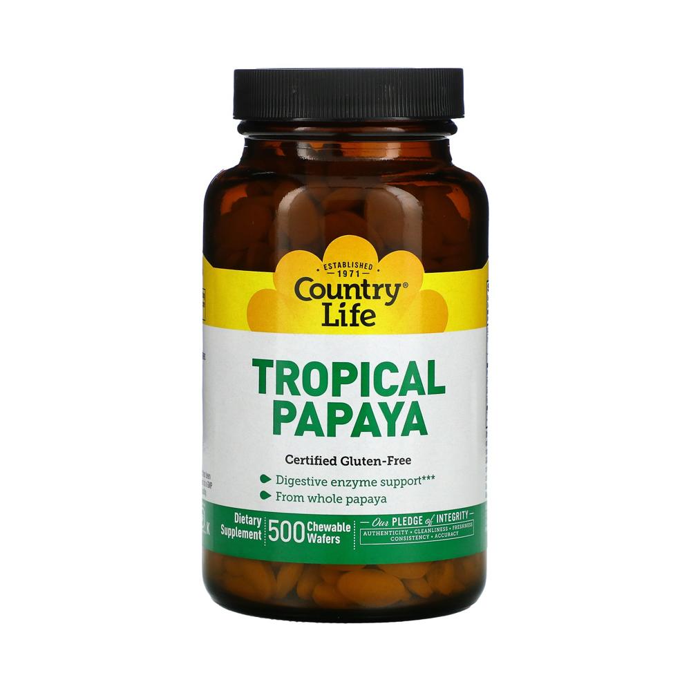 트로피컬 파파야 Papaya 소화 보조 다이제스티브 엔자임 파파인 프로테아제 500정