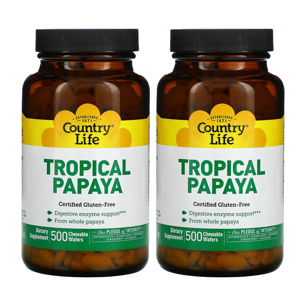 트로피컬 파파야 Papaya 소화 보조 다이제스티브 엔자임 파파인 프로테아제 500정 2통