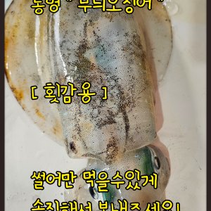 무늬오징어 최저가 가성비상품