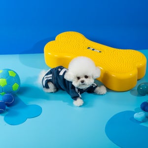 페키움 강아지짐볼 슬개골 탈구예방 운동기구 훈련 피트니스 뼈다귀짐볼 노랑