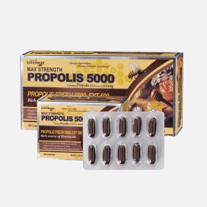 propolis5000 최저가 가성비상품