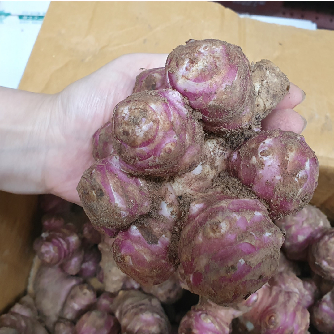 햇 생<b>돼지감자</b> 특품(뚱딴지) 자색<b>돼지감자</b>