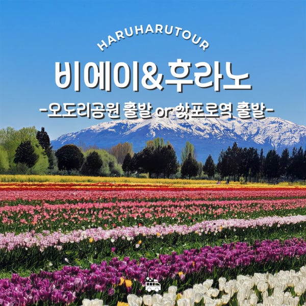 비에이 삿포로 일일 버스 투어 북해도 홋카이도 여행 준페이 매장식사