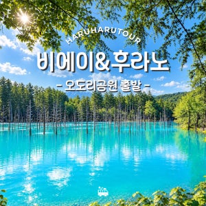 비에이 삿포로 일일 버스 투어 준페이 예약확정