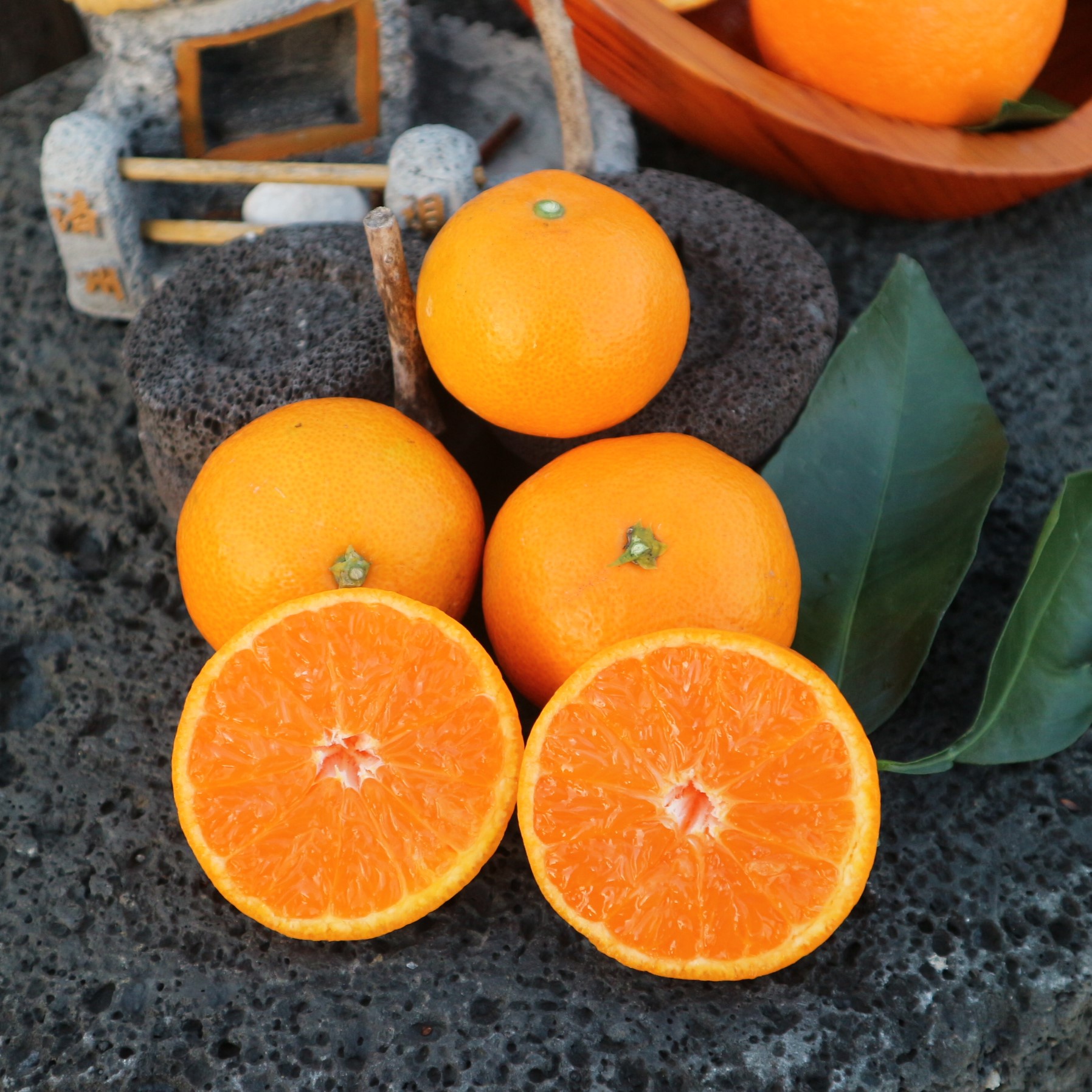 제주도 서귀포 산지직송 노지 감귤 조생 중대과 주스용 택배 5kg, 10kg, 15kg