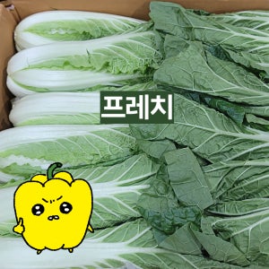 프레치 국내산 얼갈이배추 4kg