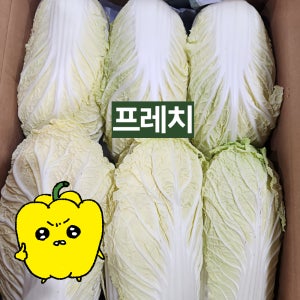 프레치 국내산 못난이 알배기배추 작은배추 6개 12개