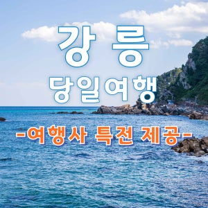 [KTX]강릉 당일 품격여행(바다부채길, 오죽헌, 안목커피거리) / 여행사 단독특전