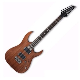 Ibanez 아이바네즈 일렉기타 RAE시리즈 중급자용 전자악기 RAE32