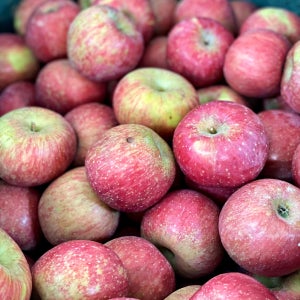 미시마 미안마 후브락스 못난이 경북 부사 사과 2kg 3kg 5kg 10kg 소과