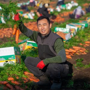 세화당근 국내산 당근 제주 구좌 흙 당근 5kg 10kg 햇 당근