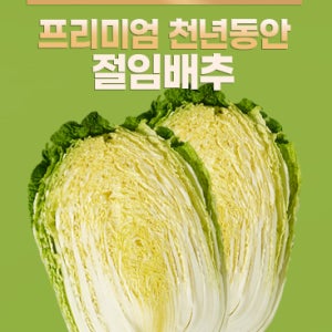 해양심층수로 만든 프리미엄 천년동안 절임배추 20kg (1BOX)